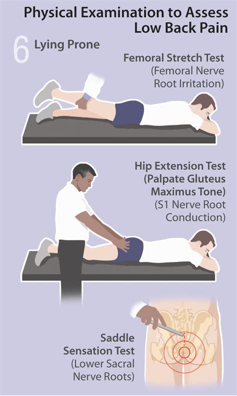 farfan torsion test|low back pain special tests.